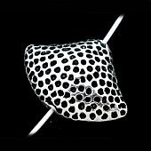 Бусина "Северное море" сереб.