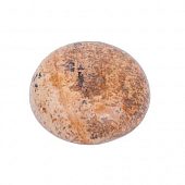 Яшма "Пейзажная" - кабошон круглый, 20х6 мм.