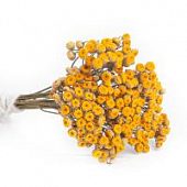 Пижма букет.