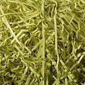 Бумажный наполнитель curious лайм (462)