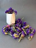 Сухоцвет для декора Статица розово-фиолетовая гамма