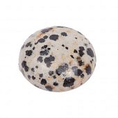 Яшма "Далматин" - кабошон круглый, 20x6 мм.