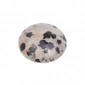 Яшма "Далматин" - кабошон круглый, 18x7 мм.