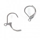 Швенза "Французский замок" ник.