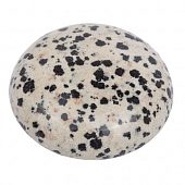 Яшма "Далматин" - кабошон круглый, 35x9 мм.