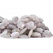 Лунный камень серый граненый - бусина овал, 14x10x5 мм.